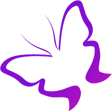 purple wings butterfly