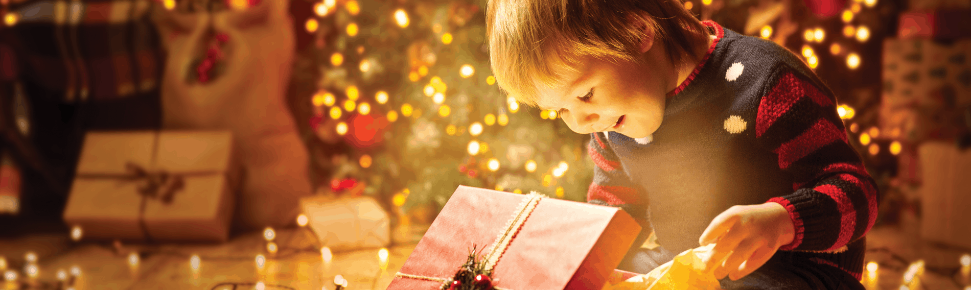 Holiday-Drive-website-image