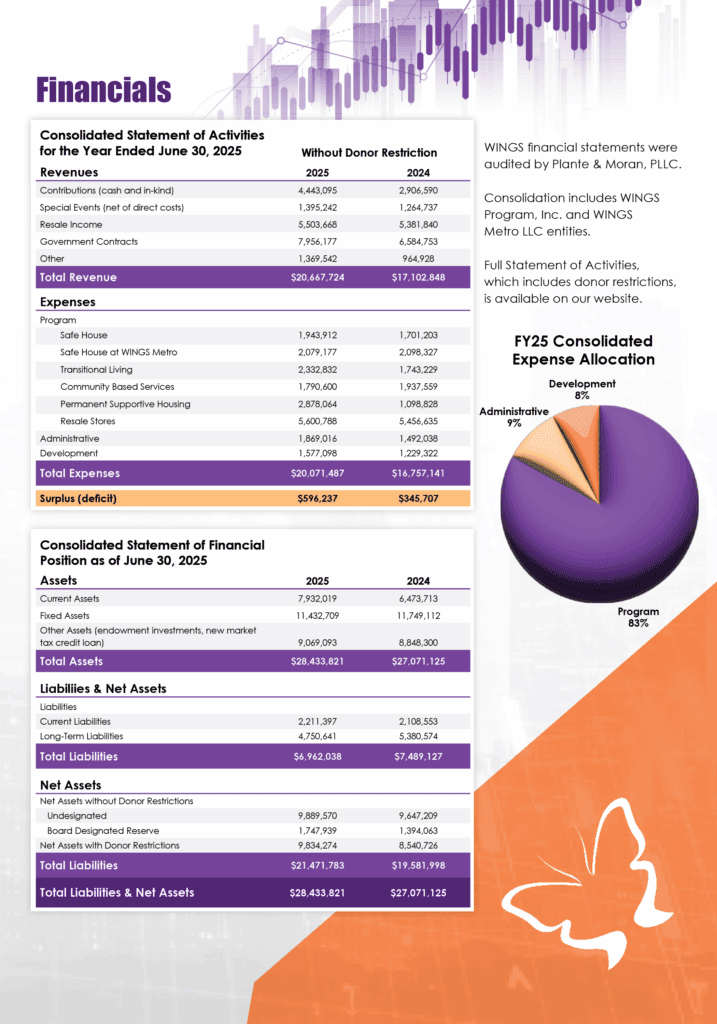 Financials Graphic 2025