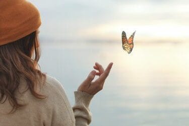 Butterflies