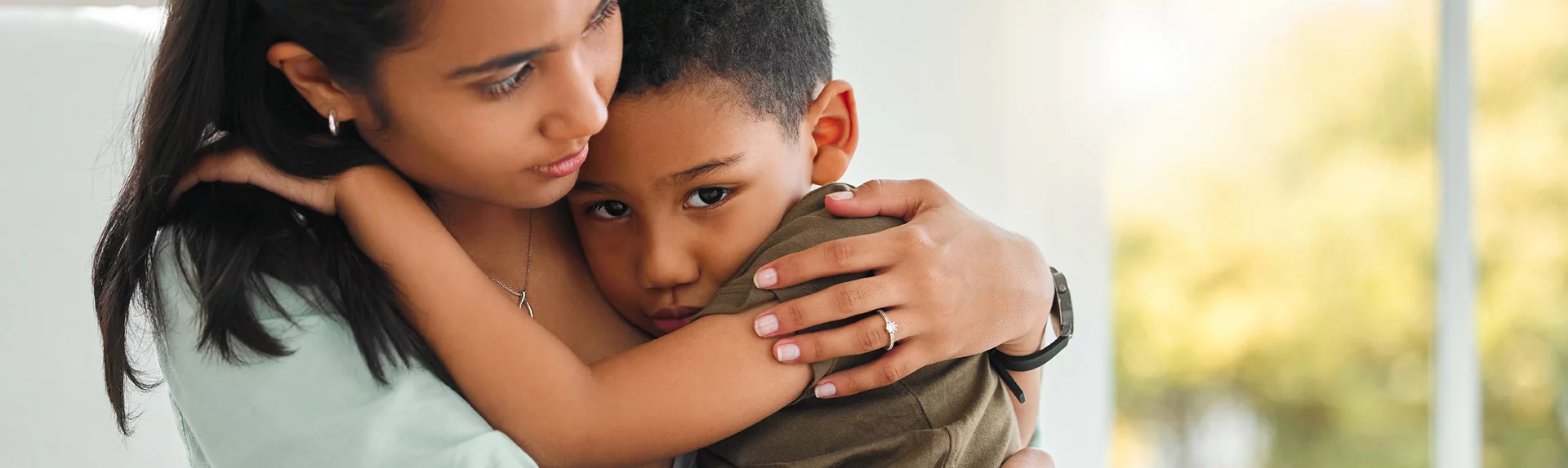 WINGS Help Banner Banner